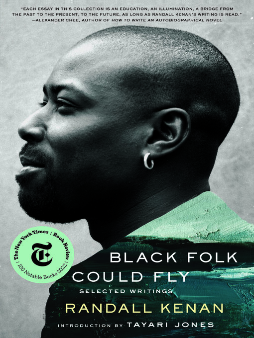Cover image for Black Folk Could Fly